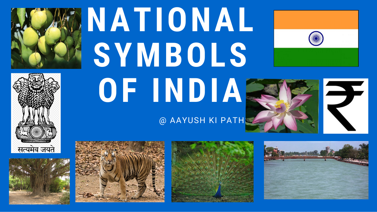 National Symbols of India – Aayush Ki Pathshala