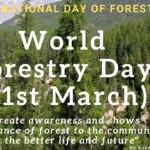 World forestry day & International Day of Forests