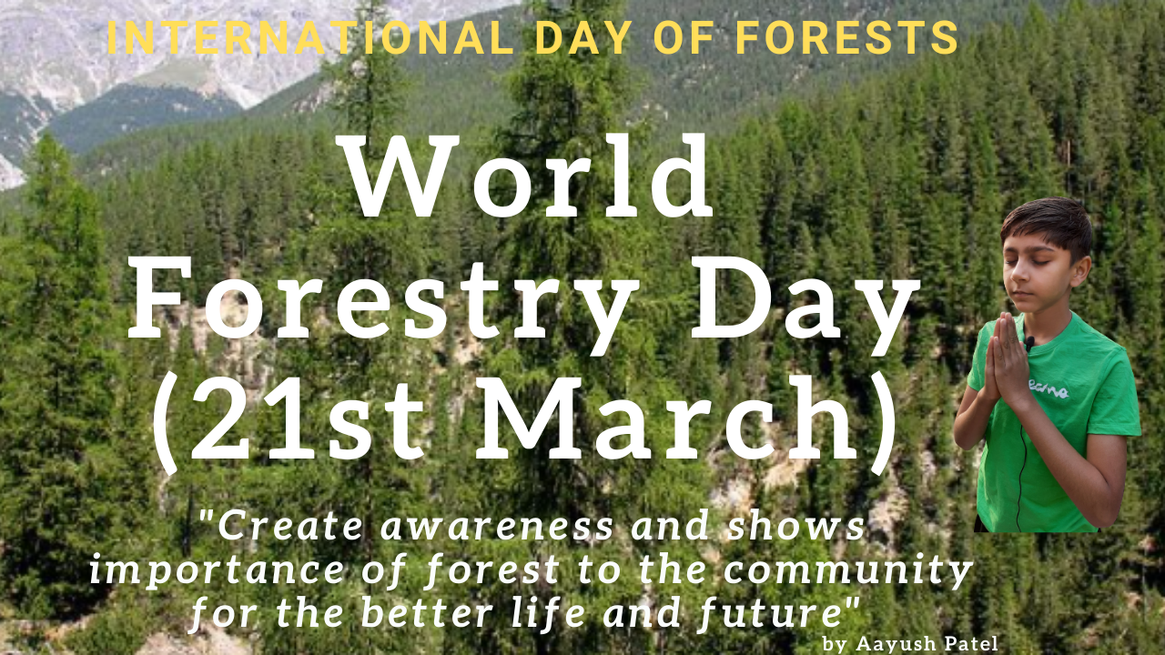 World forestry day speech International Day of Forests 21st March